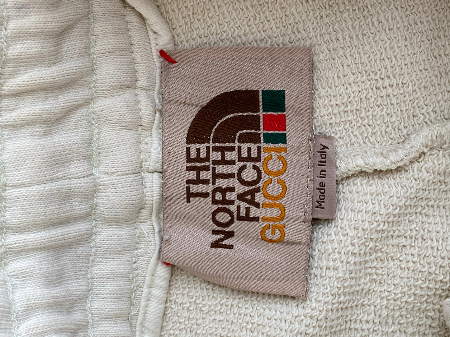 Gucci X The North Face Shorts