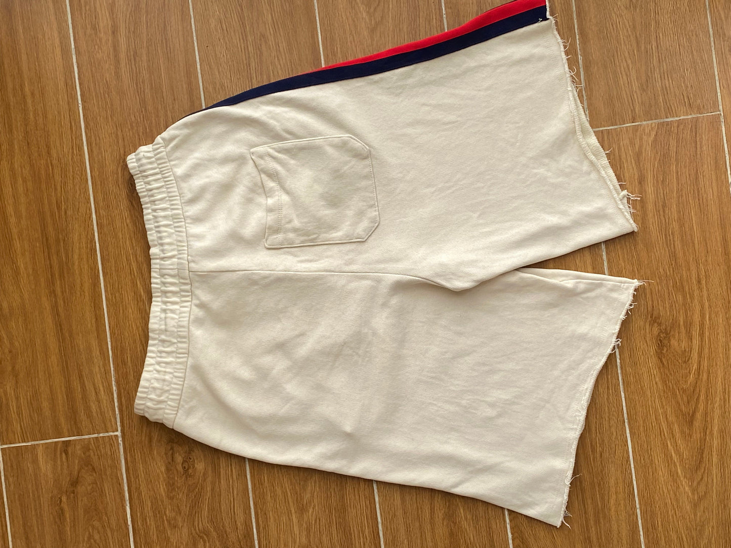 Gucci X The North Face Shorts