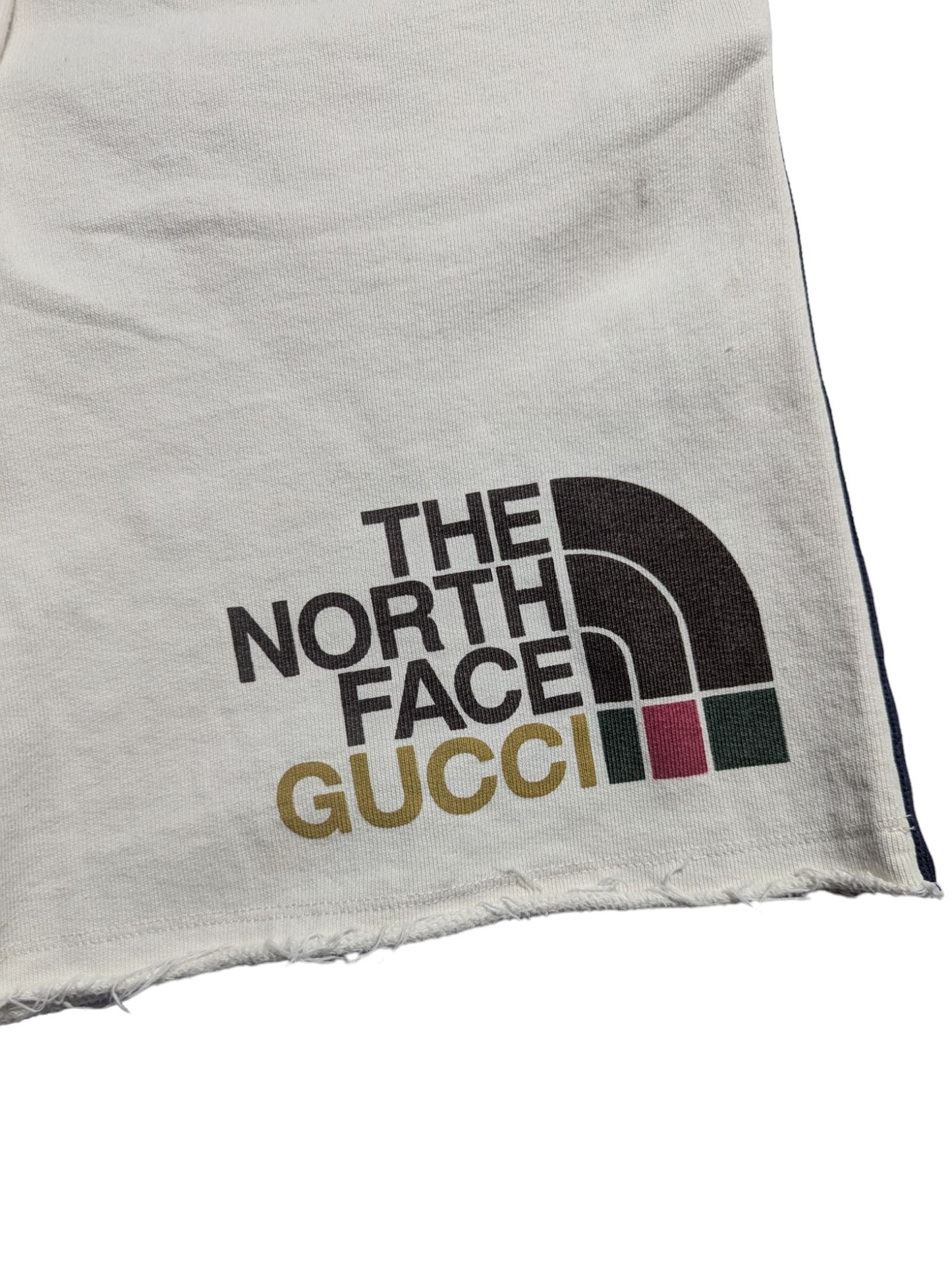 Gucci X The North Face Shorts