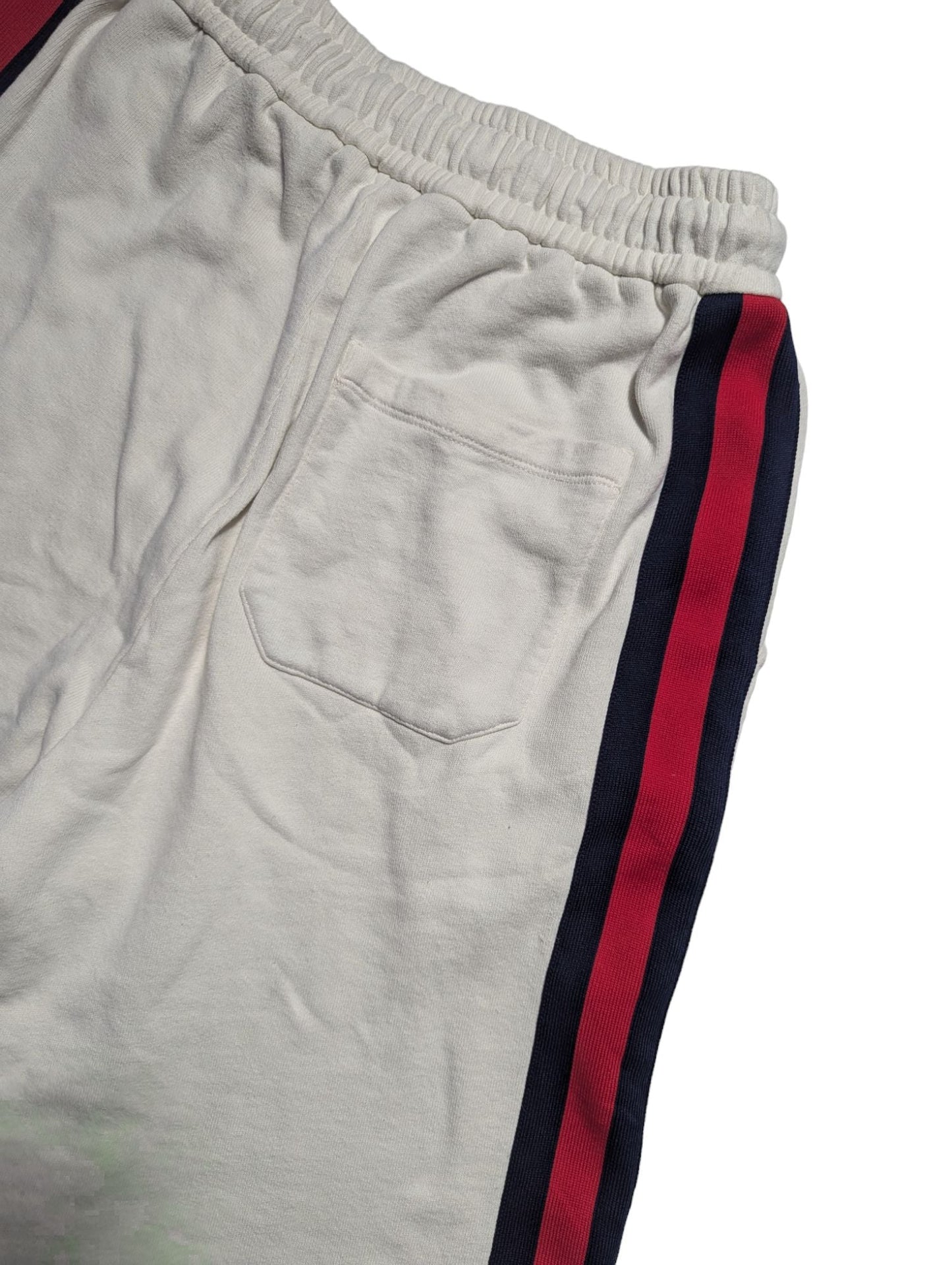 Gucci X The North Face Shorts