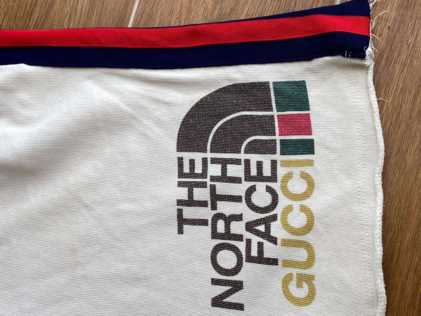 Gucci X The North Face Shorts