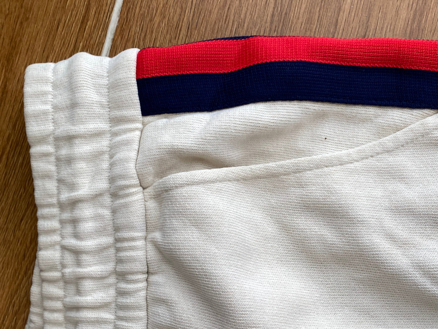 Gucci X The North Face Shorts