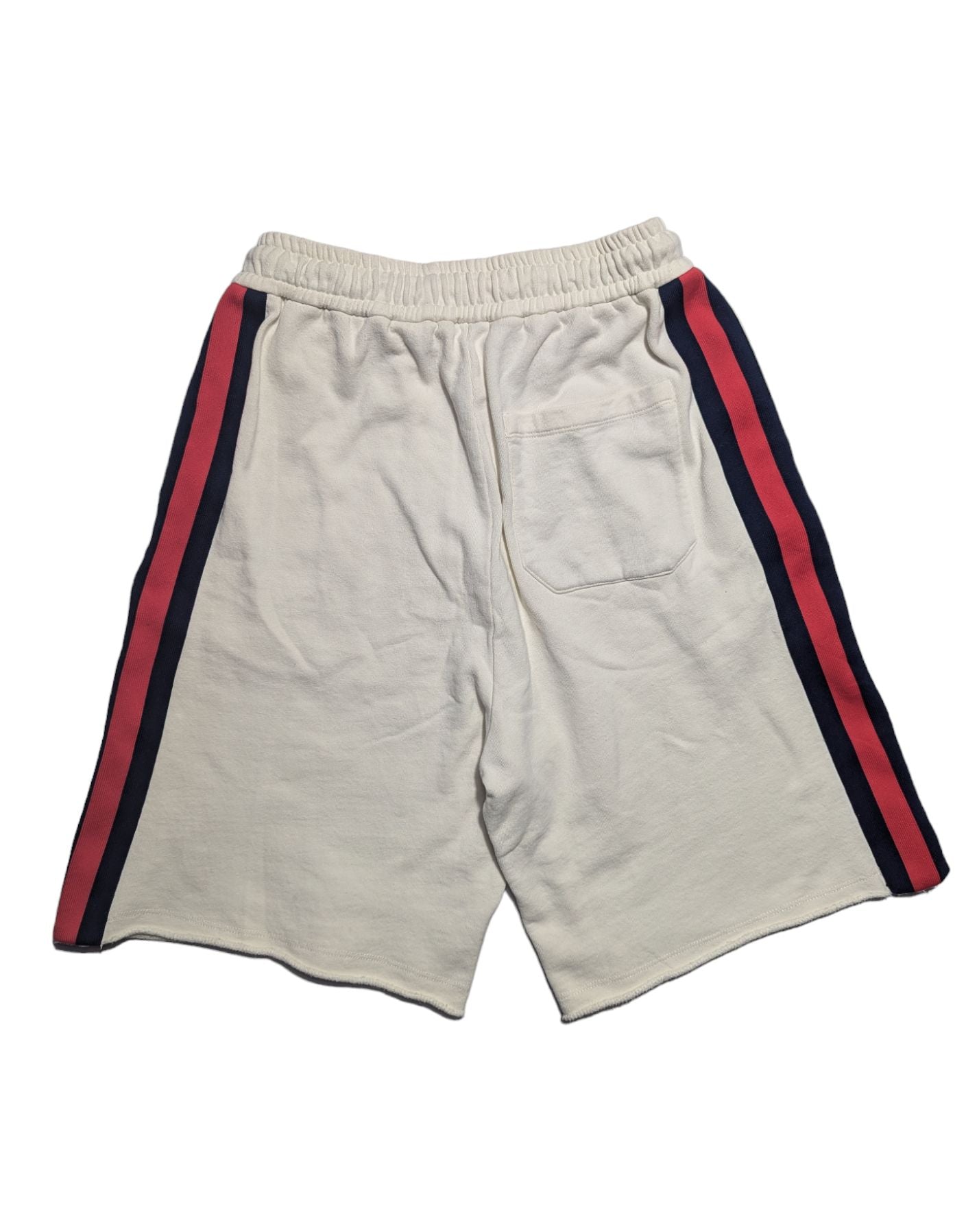 Gucci X The North Face Shorts