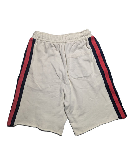 Gucci X The North Face Shorts